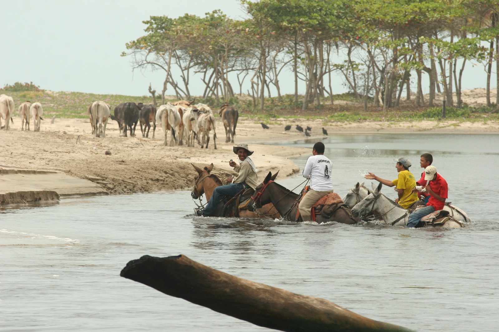 Nelson-Guajira2